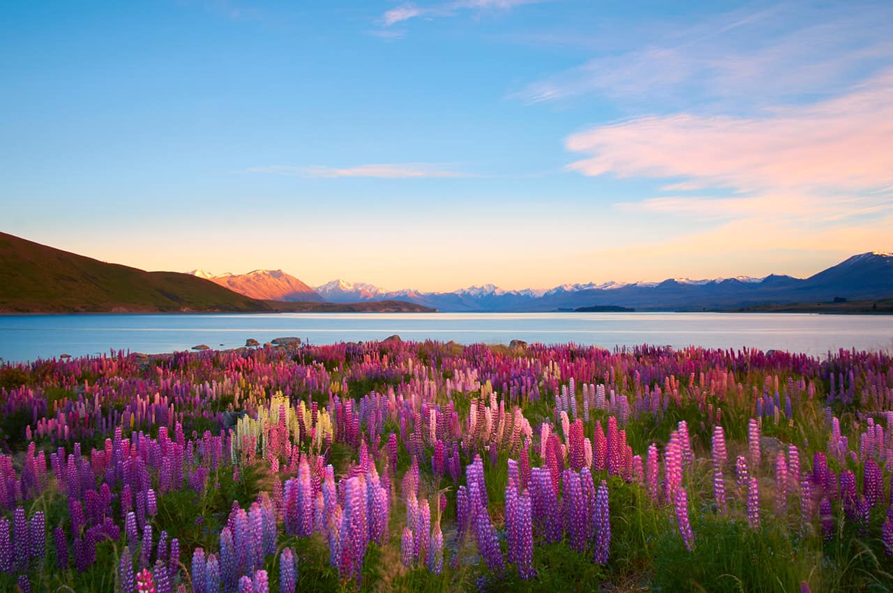 Lake Tekapo, na Nova Zelândia