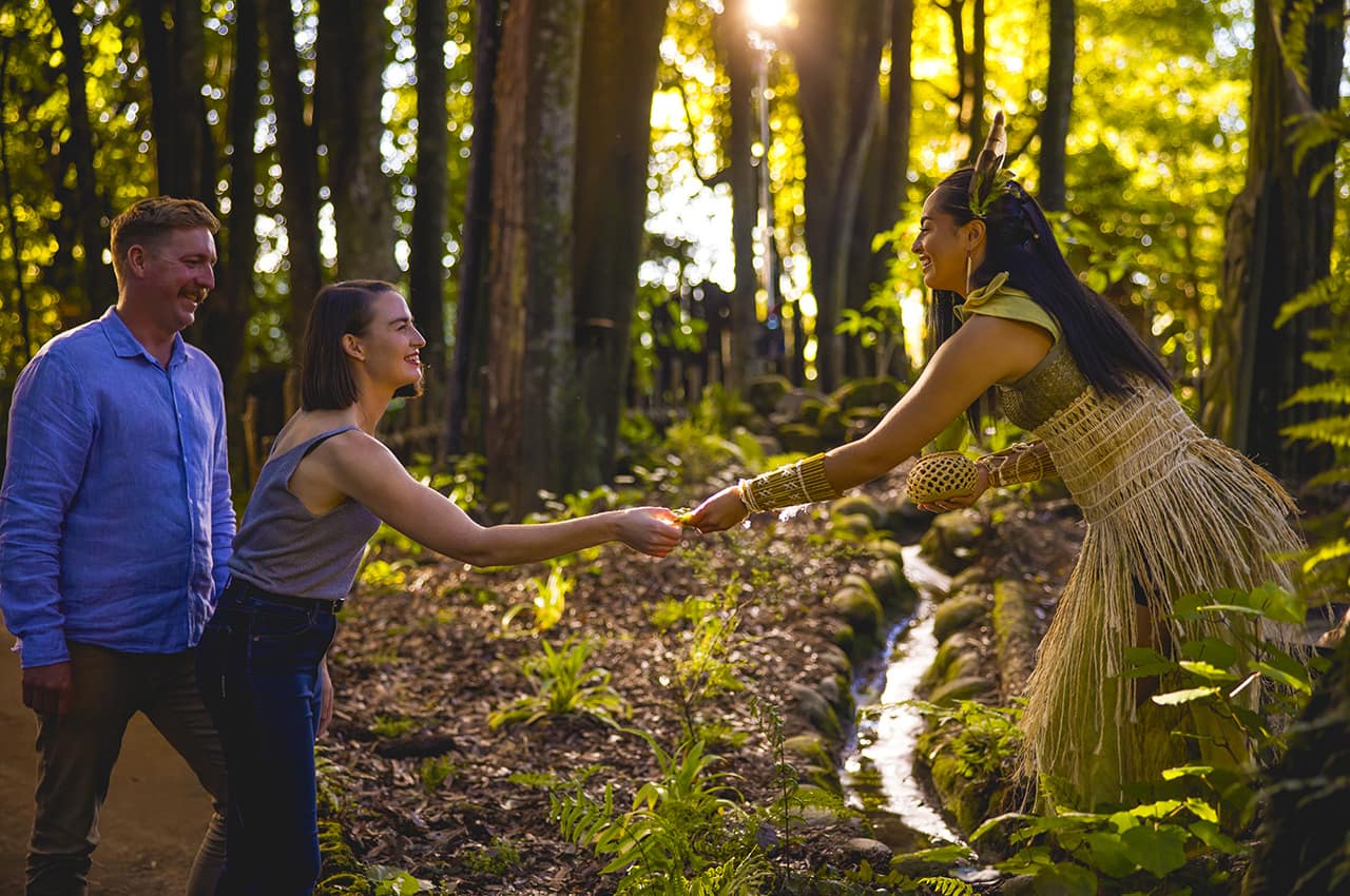 Nova zelandia rotorua bayofplenty floresta