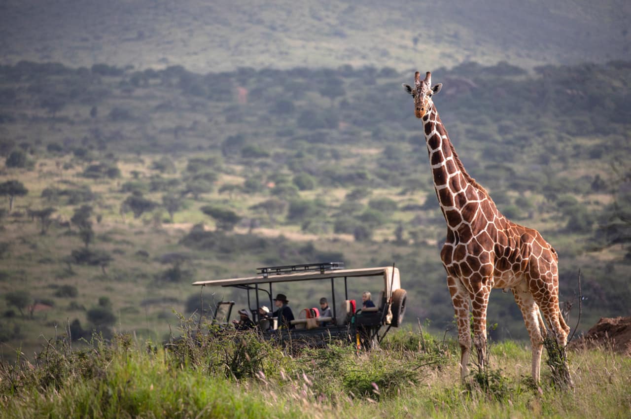 Skysafari loisaba gamedrives