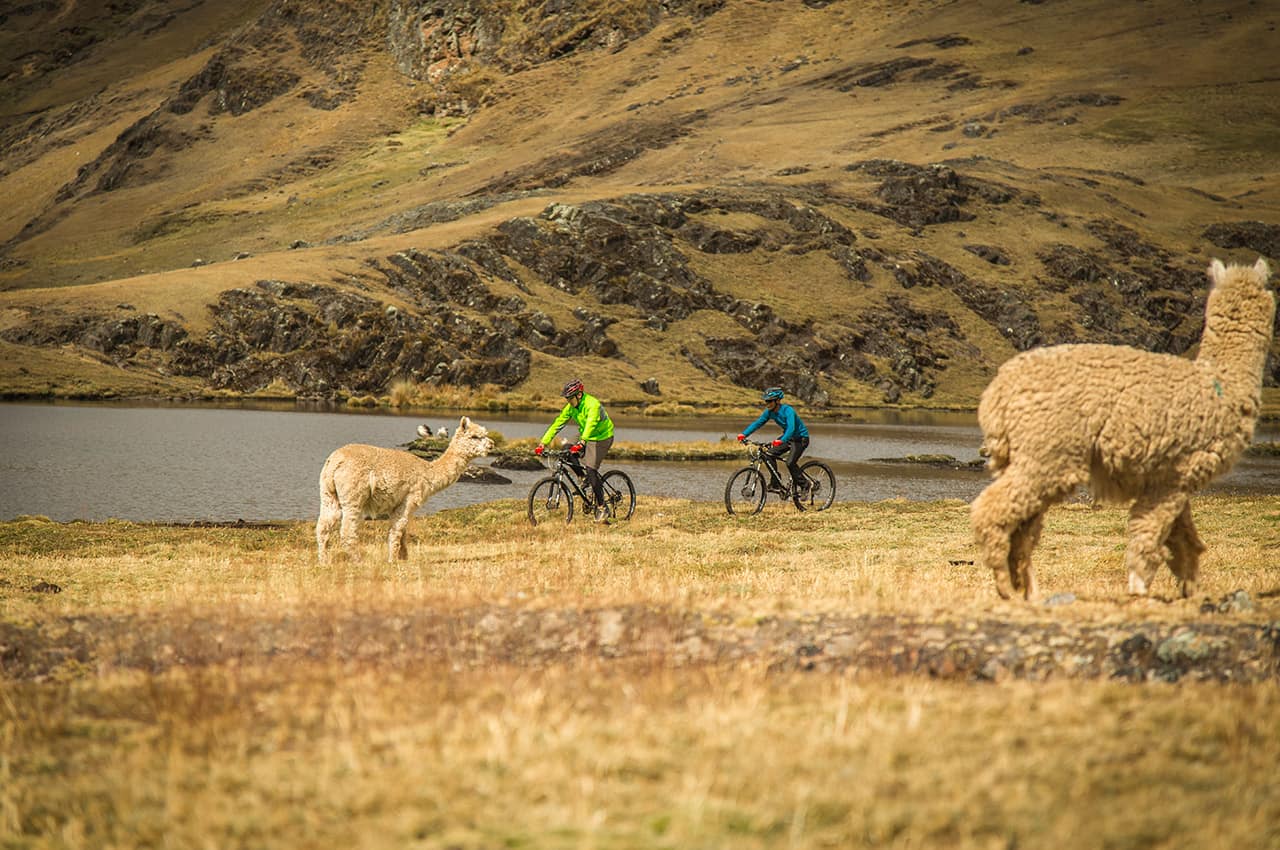 Passeios de bicicleta organizada pelo explora