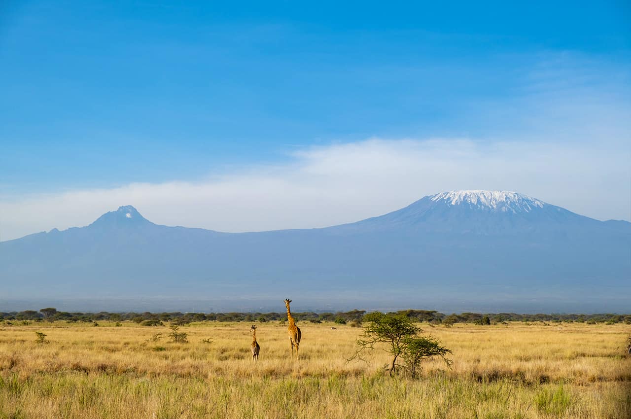 Quenia angama amboseli parque nacional