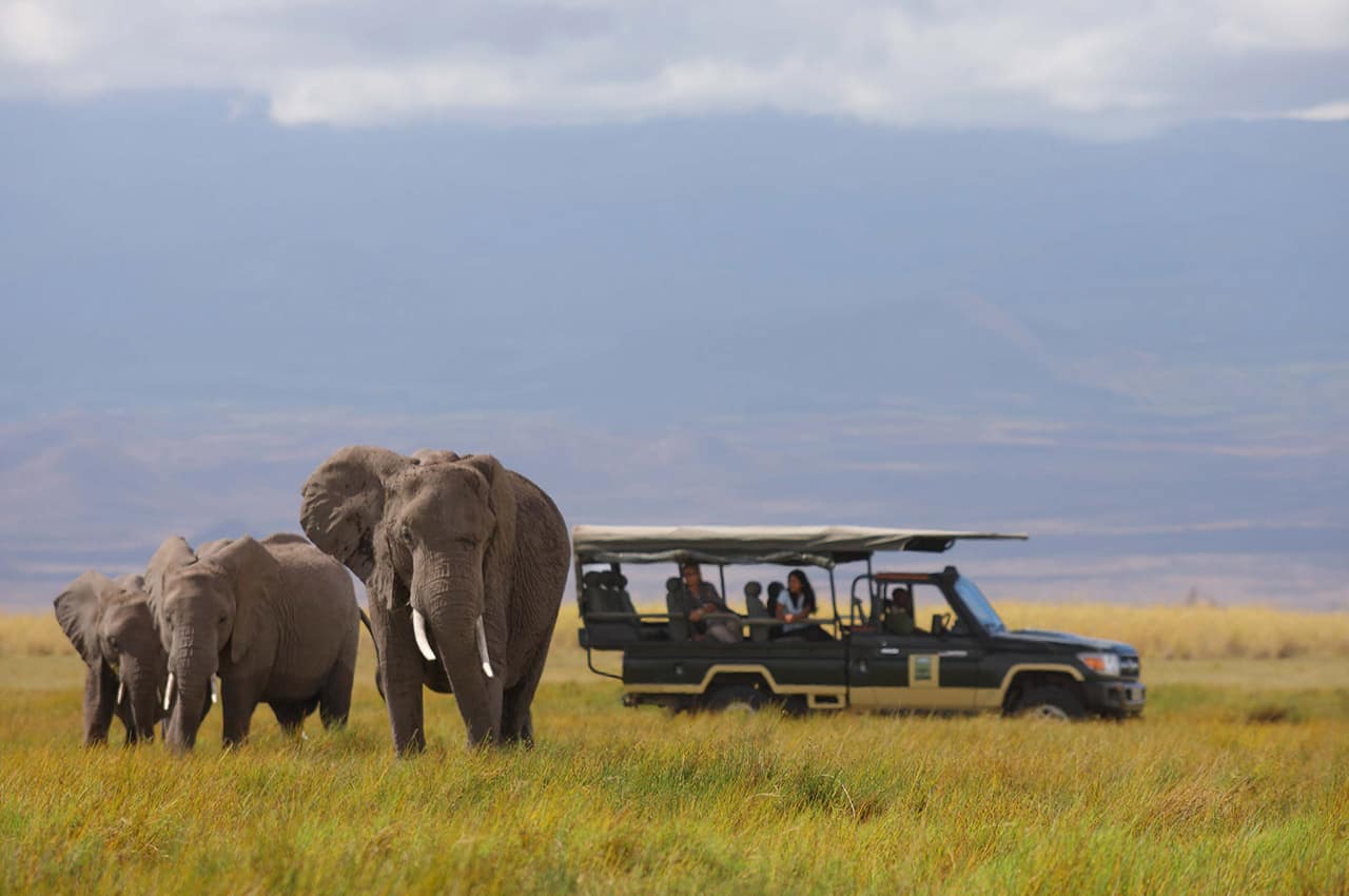 Skysafari quenia elewana tortilis camp amboseli