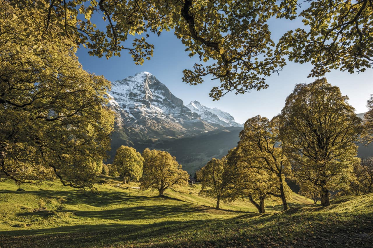 Grindelwald herbstbaeume