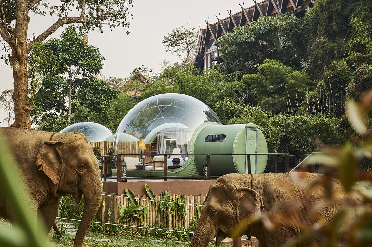 Tailandia anantara goldentriagleelephantcamp guestroom bolha elefante