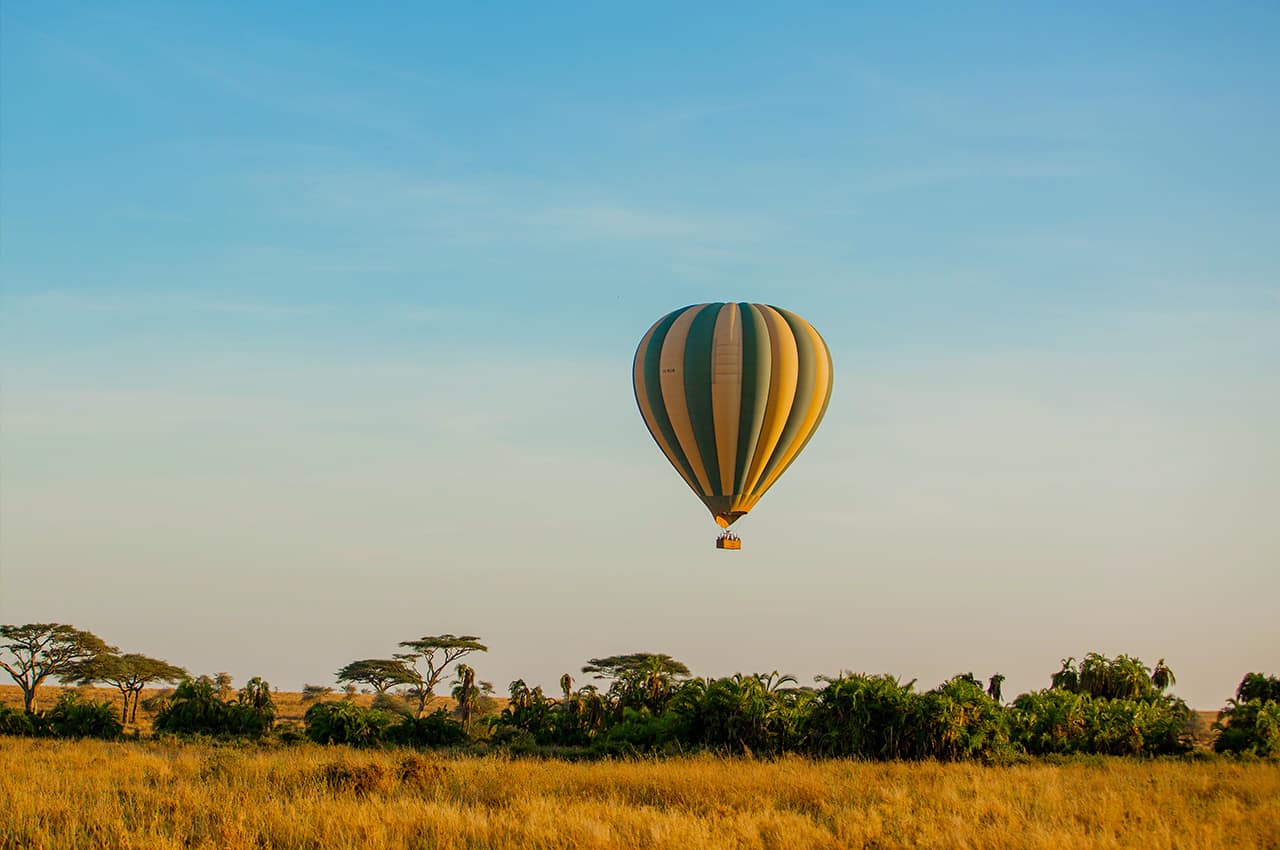 Tanzania nimali serengeti balao