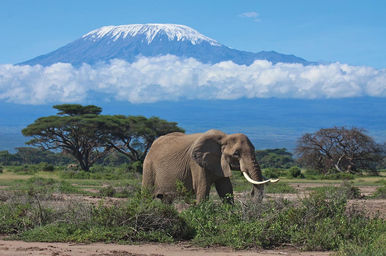 Tanzania