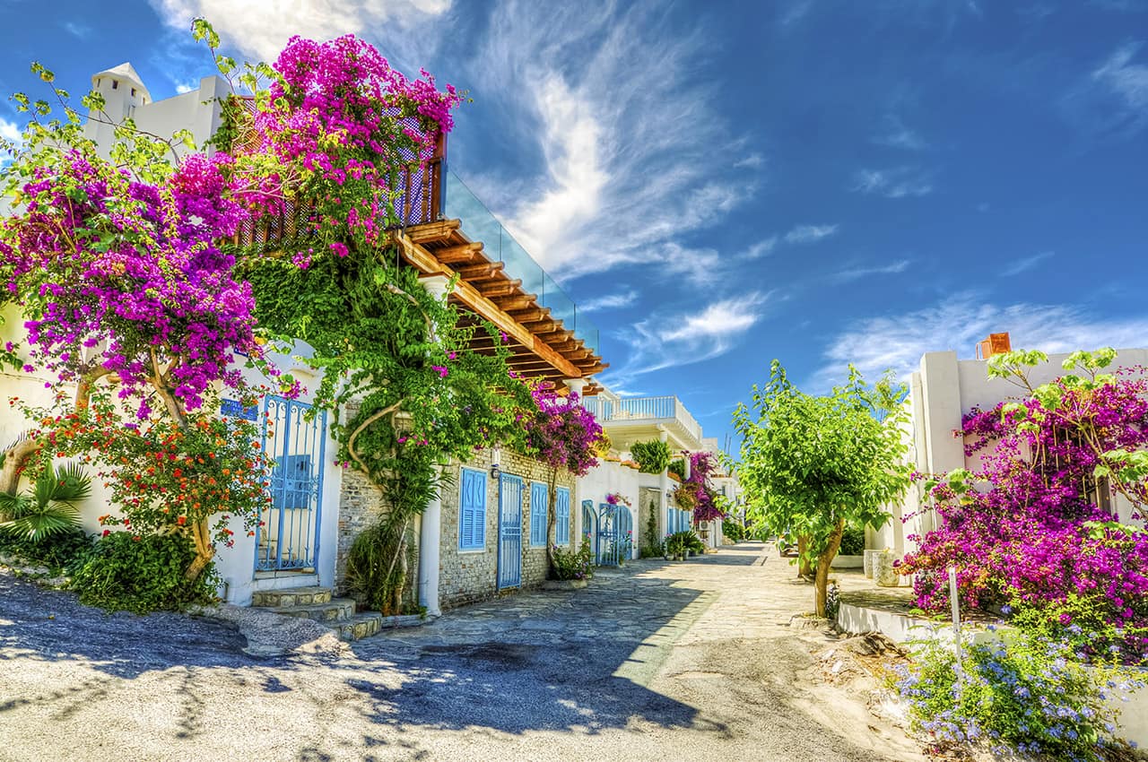 Rua de Brodum, Turquia