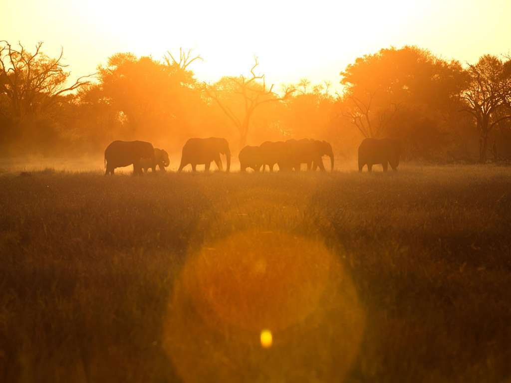 Botswana little machaba sunset
