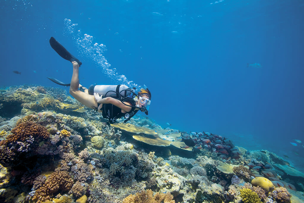 Mergulho Foto: Lizard Island
