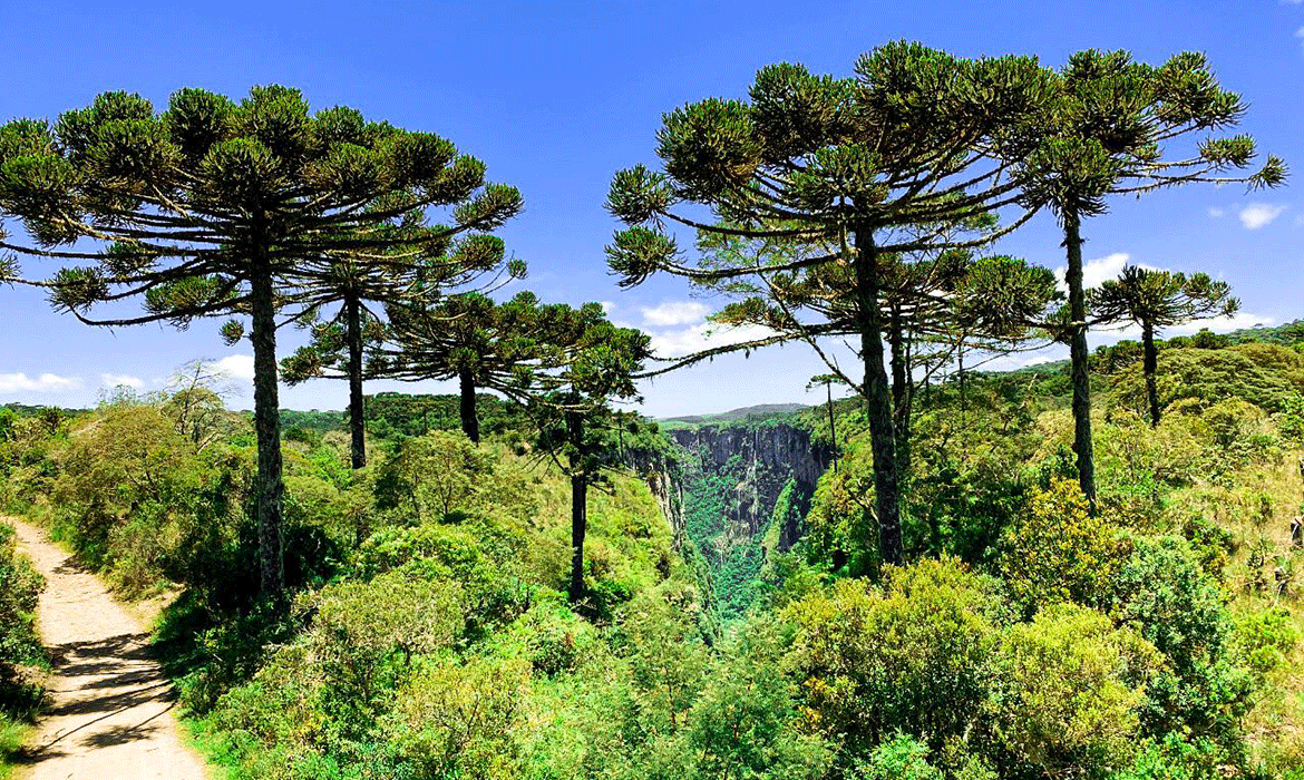 Gramado-Canion-02