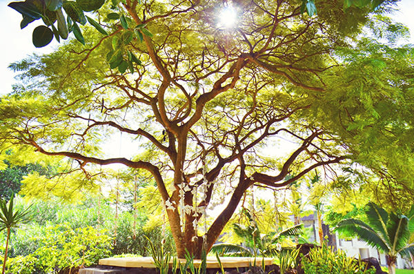 LUX* Resorts & Hotels_experience