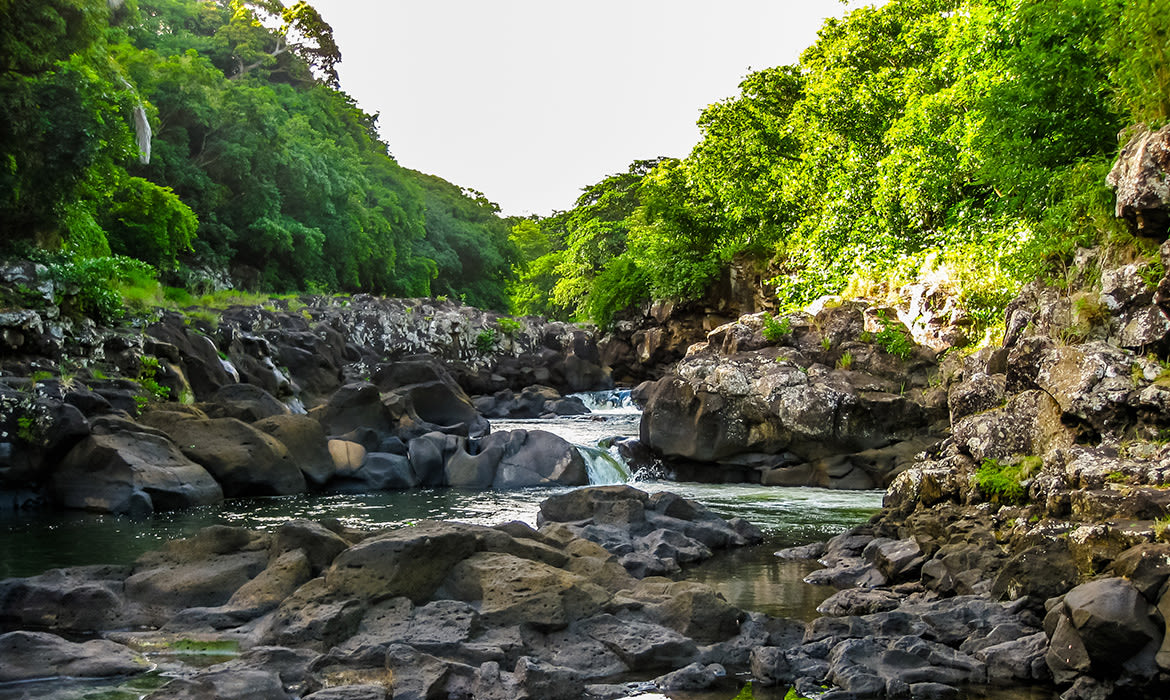 Ilhas-Maurício_Nacional-Black-River-Gorges