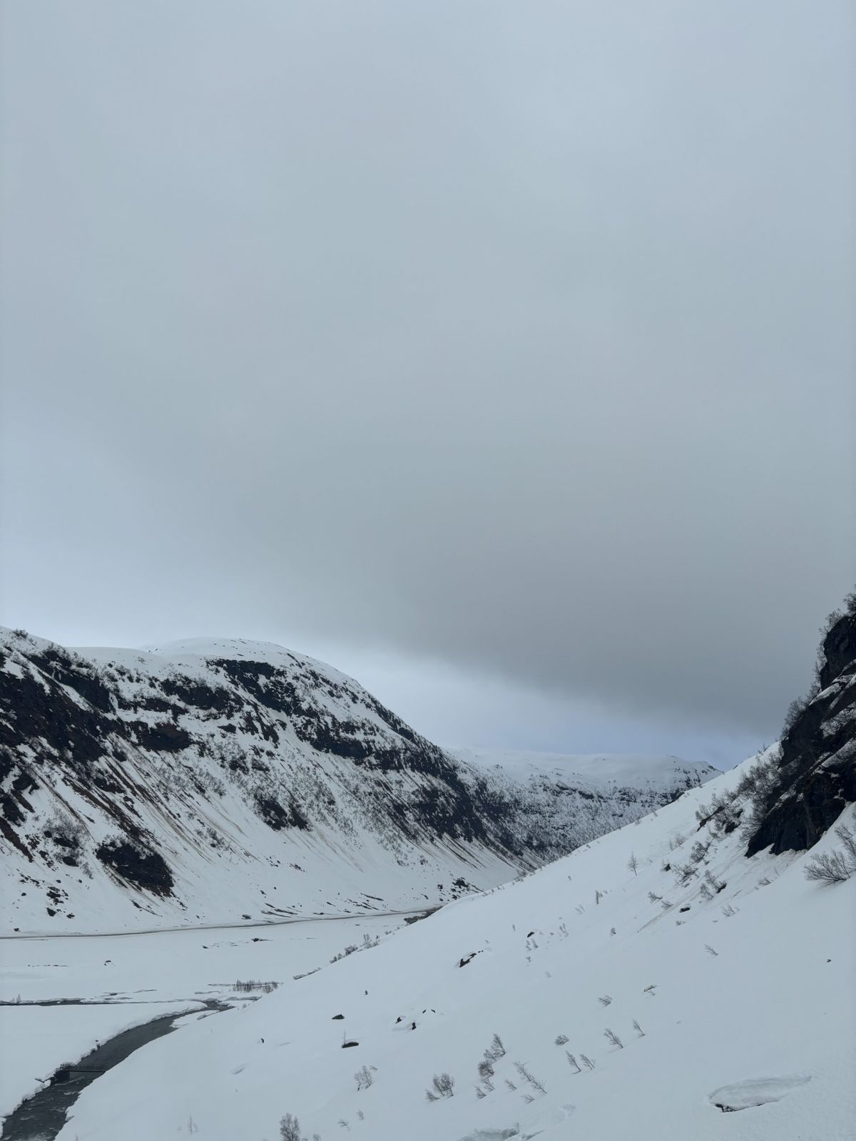 image00029