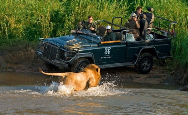 Londolozi-Vasty-01