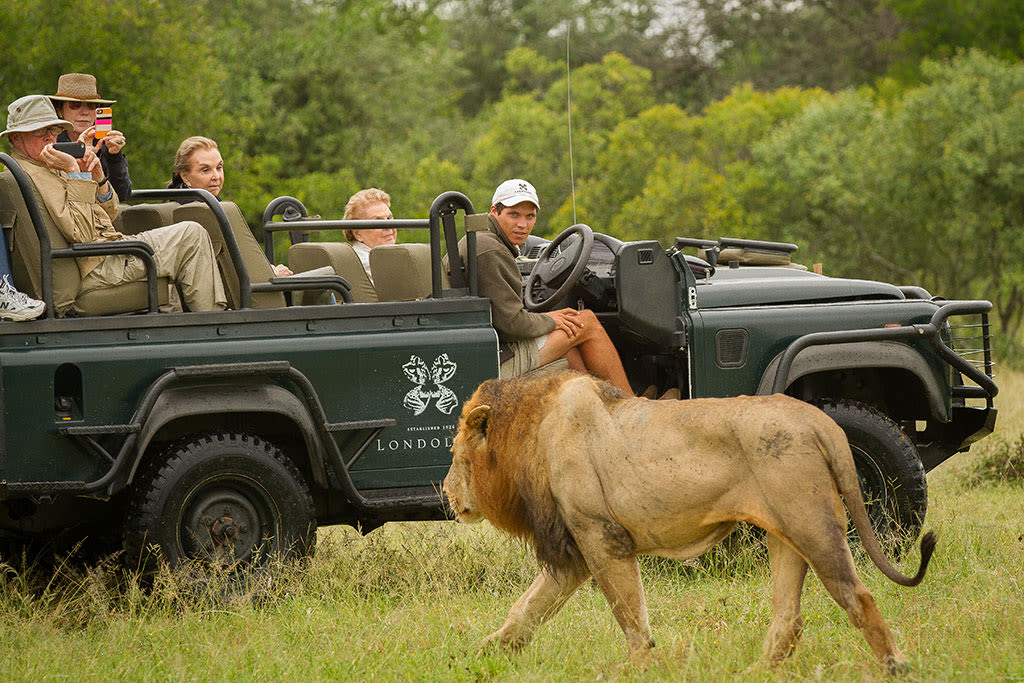 Londolozi-Vasty-02