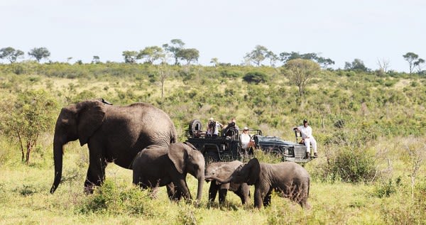 Londolozi-Vasty-03