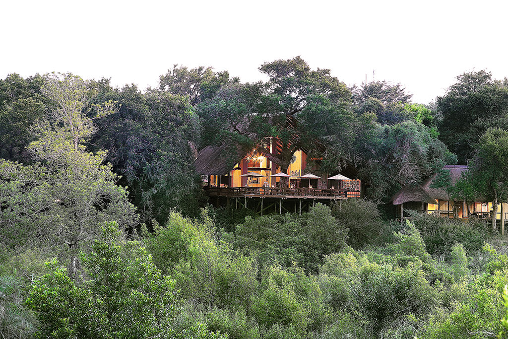 Londolozi-Vasty-04