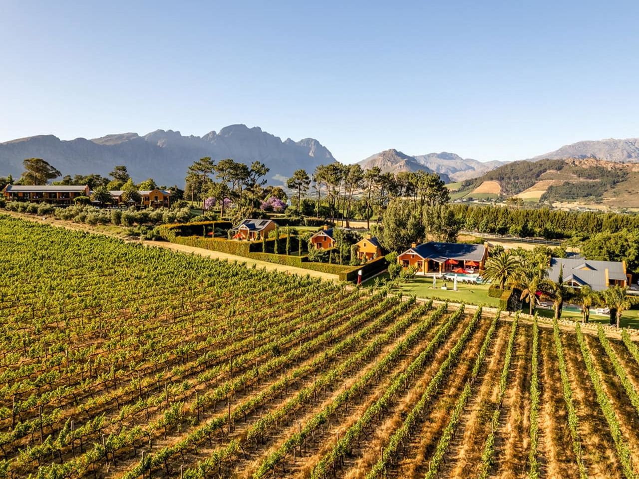 La residence franschhoek vinicola
