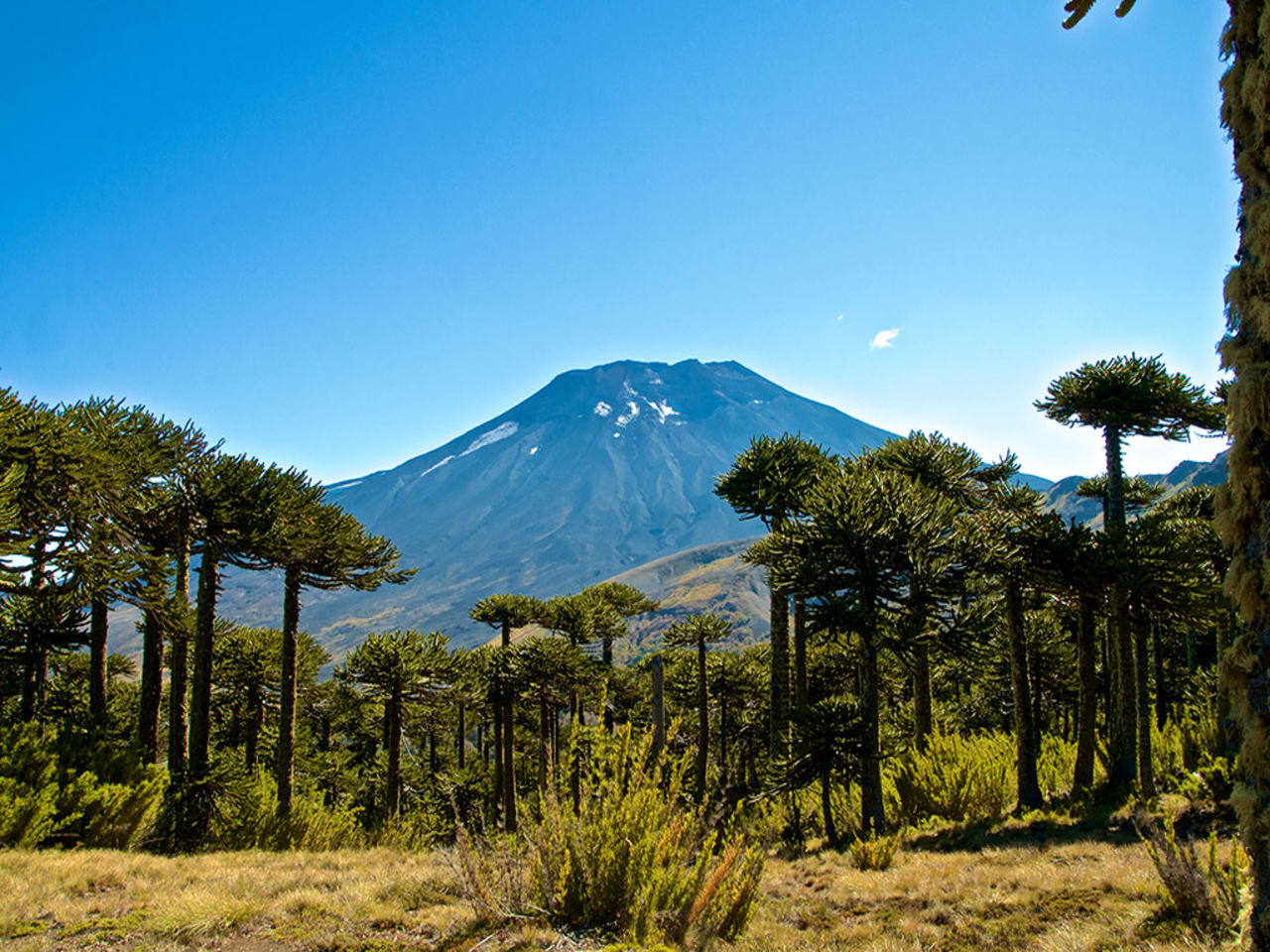 Corralco chile verao