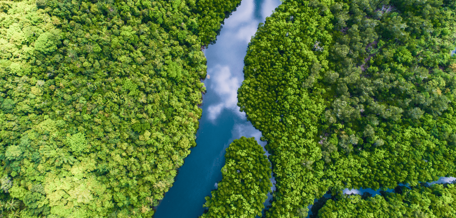 Amazônia