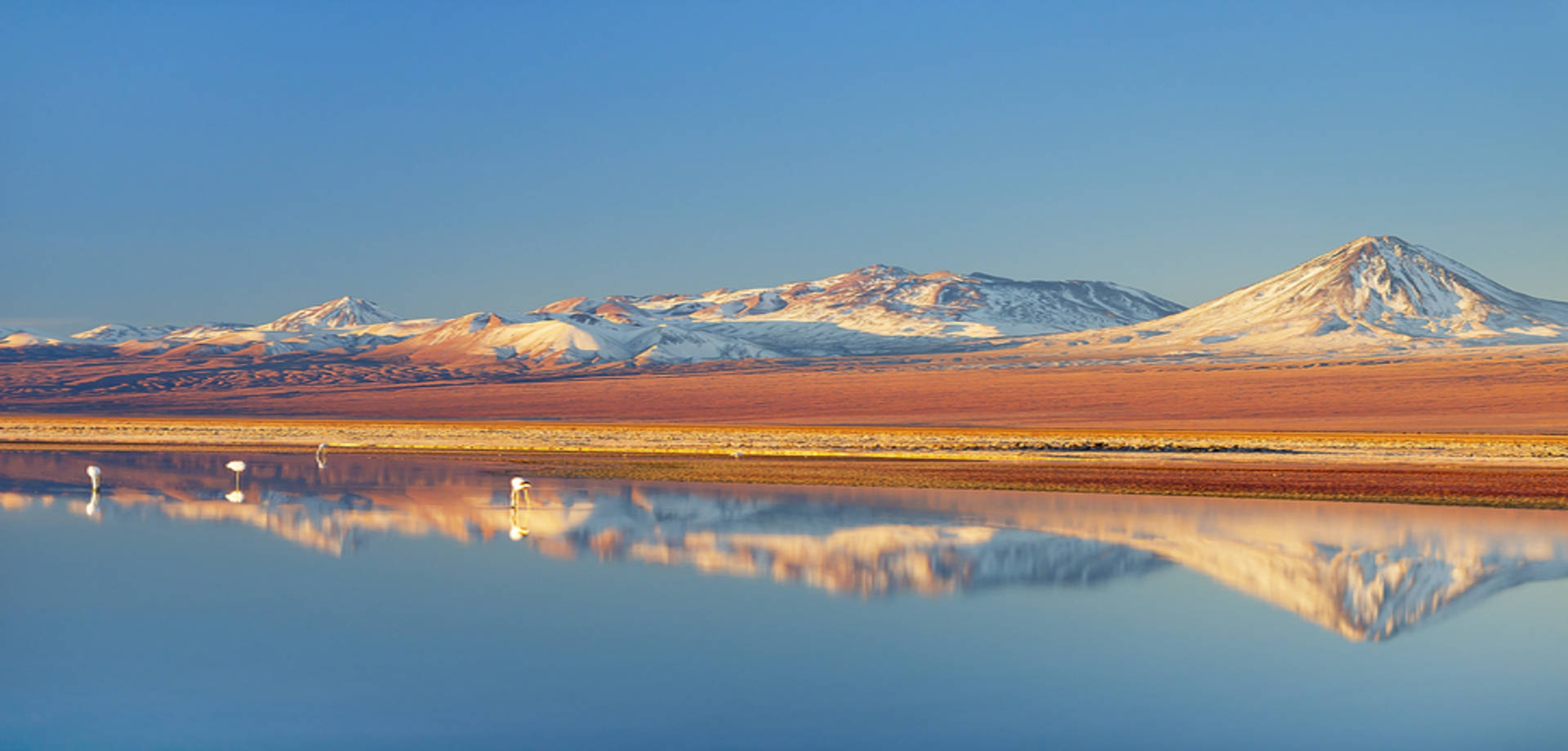 Tiradentes holiday in Atacama and Santiago