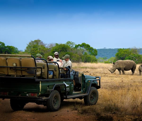 Africadosul reserva phinda andbeyond phindavleilodge rinoceronte