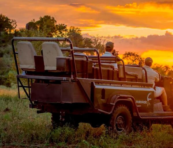 Malamala camp safari carro