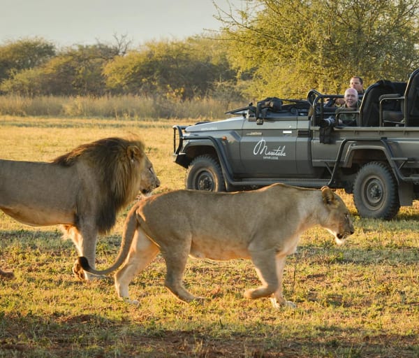 Marataba mountain lodge safari