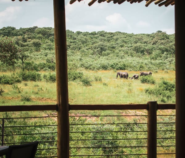 Mdluli safari deck area
