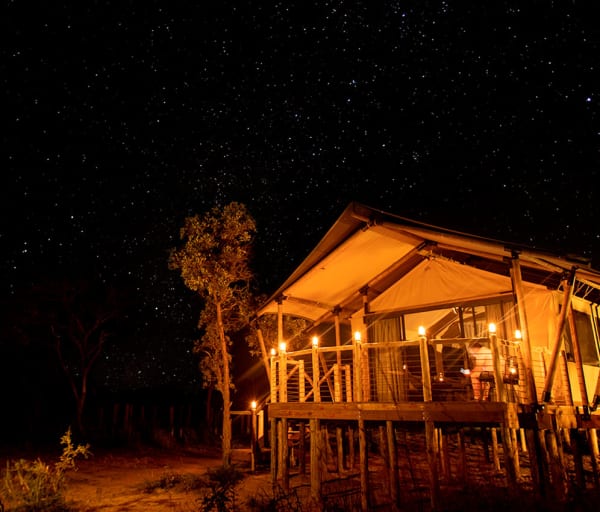 Night view mdluli safari