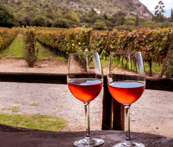 Argentina vinicola cafayate