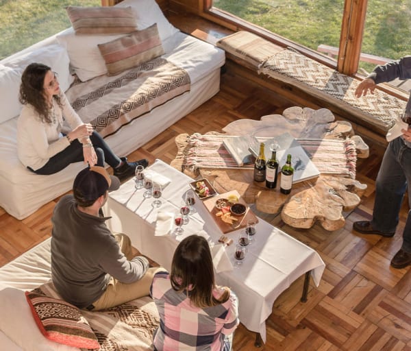 Experiência Prova de Vinhos