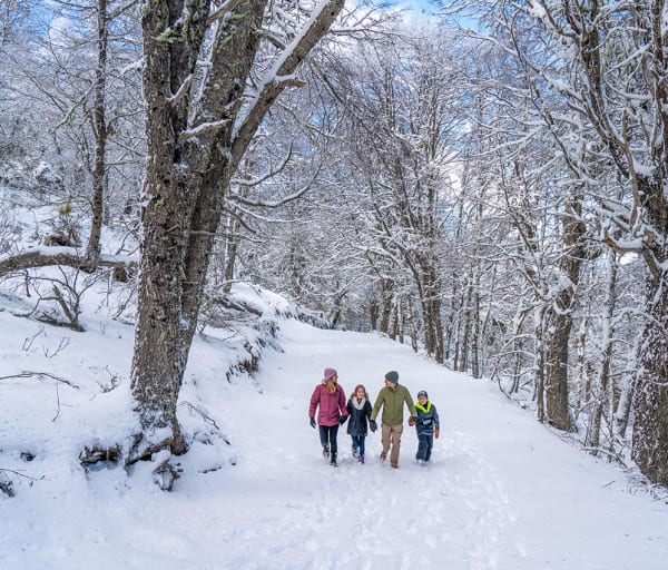 Família caminhando na Neve