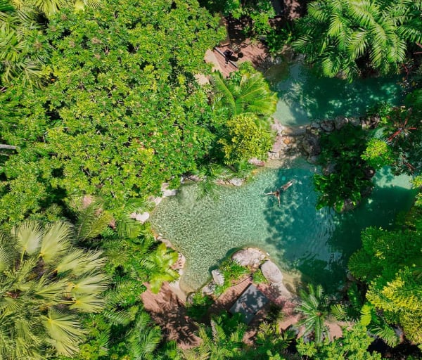 Silky oaks lodge australia the daintree swimming pool