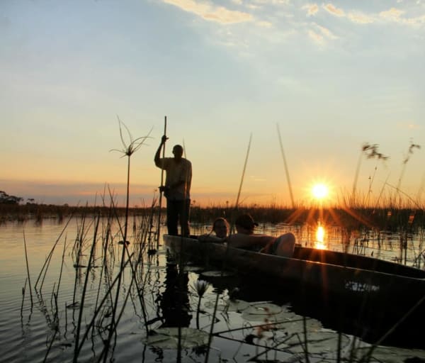 Safári Delta do Okavango Botswana