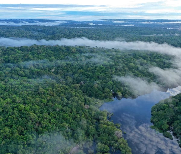 Amazon ecopark e