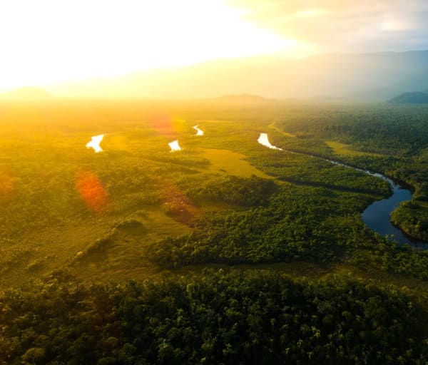 Amazonia vista aerea floresta