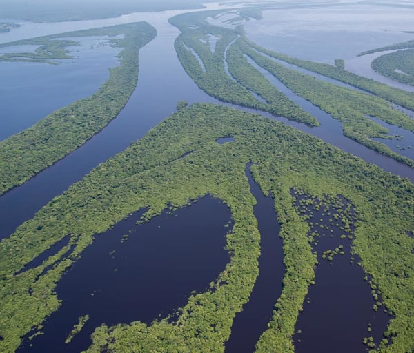 Anavilhanas jungle lodge vist aerea