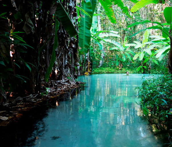 Brasil jalapao fervedouro tocantis agua nadar