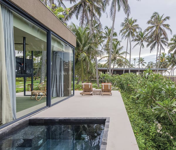 Carmel taiba vila fruto externo