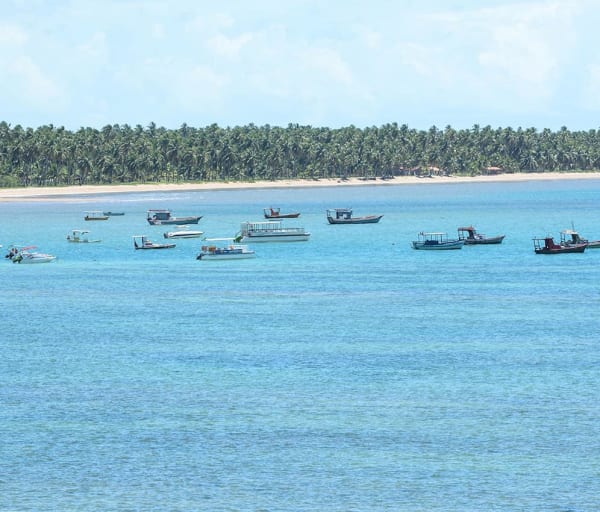 Mtur alagoas sao miguel dos milagres praia do toque barcos marco ankosqui