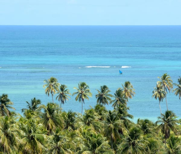 Mtur alagoas sao miguel dos milagres praia do toque mar marco ankosqui
