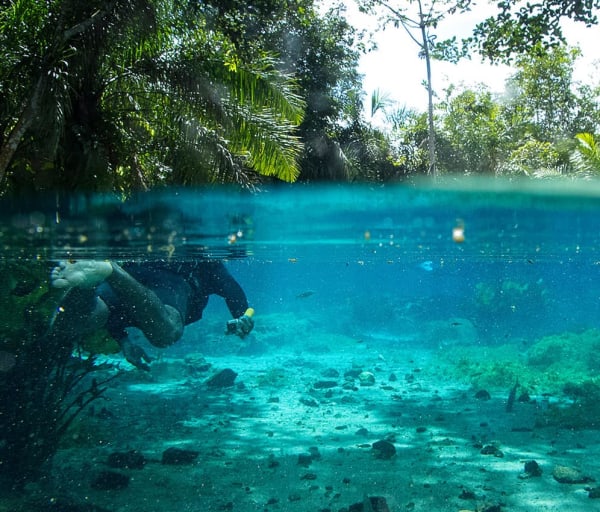 Mtur mato grosso do sul bonito nascente azul baixo dagua flavio andre