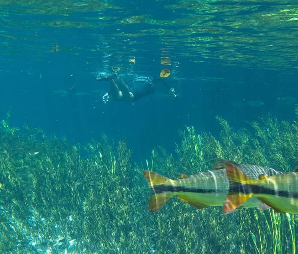 Mtur mato grosso do sul bonito nascente azul pessoa flavio andre