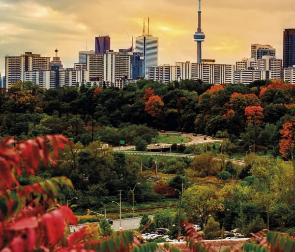 Por do sol toronto outono