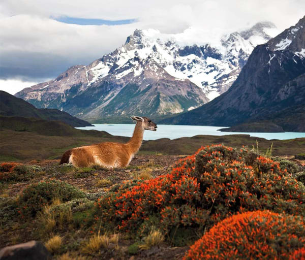 Chile_Parque puerto natales