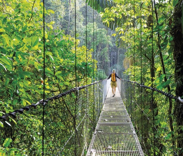 Costa rica selva tropical verde