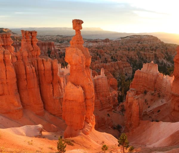 Brandusa bryce canyon national park