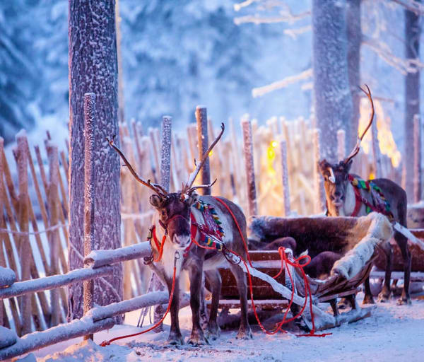 Finlandia rovaniemi neve renas