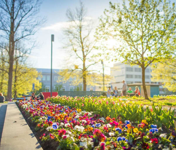 Tampere summer in city center